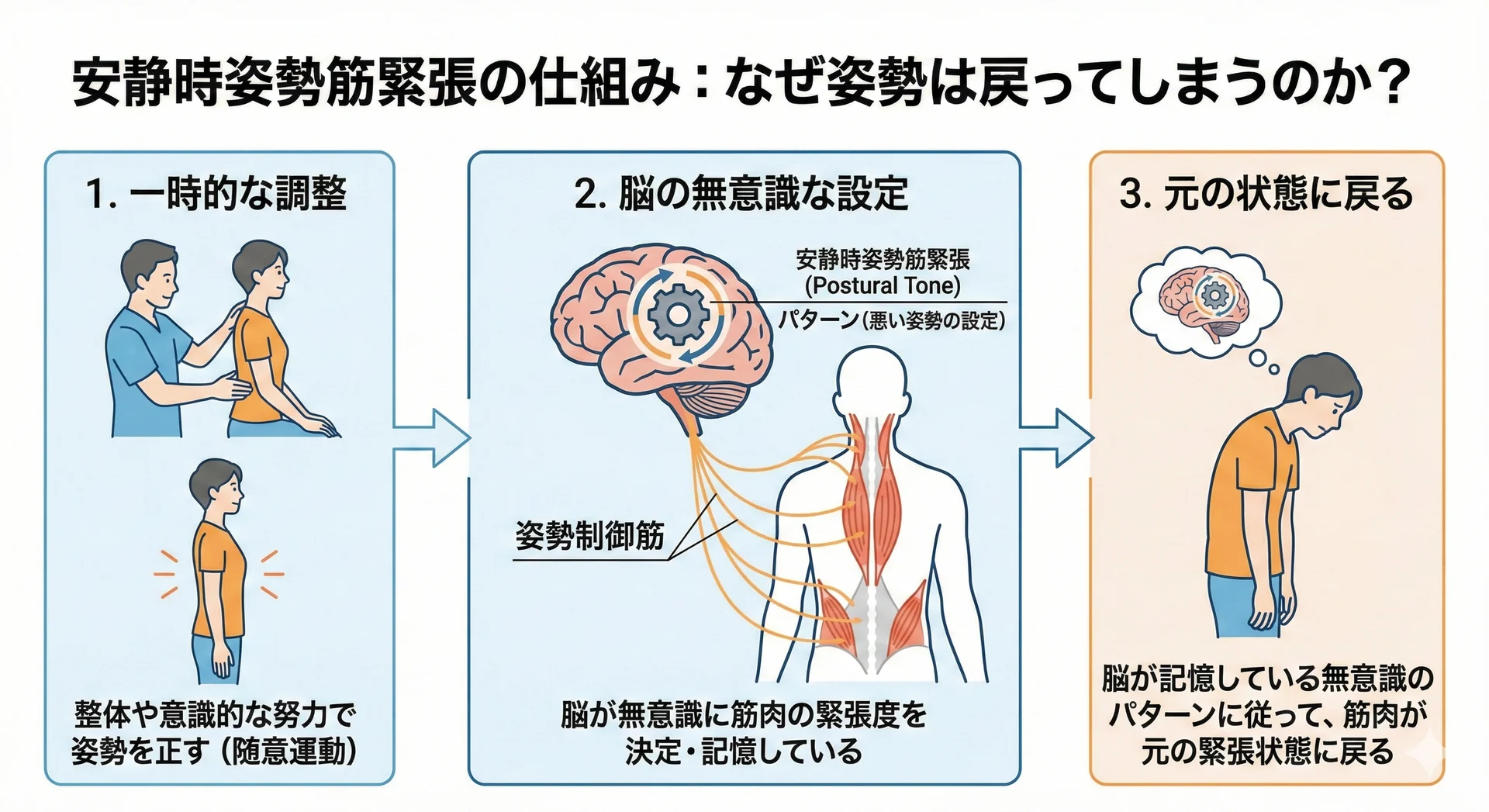大阪のSTRUCT Conditioningが解説する姿勢改善をしてももとに戻ってしまう理由